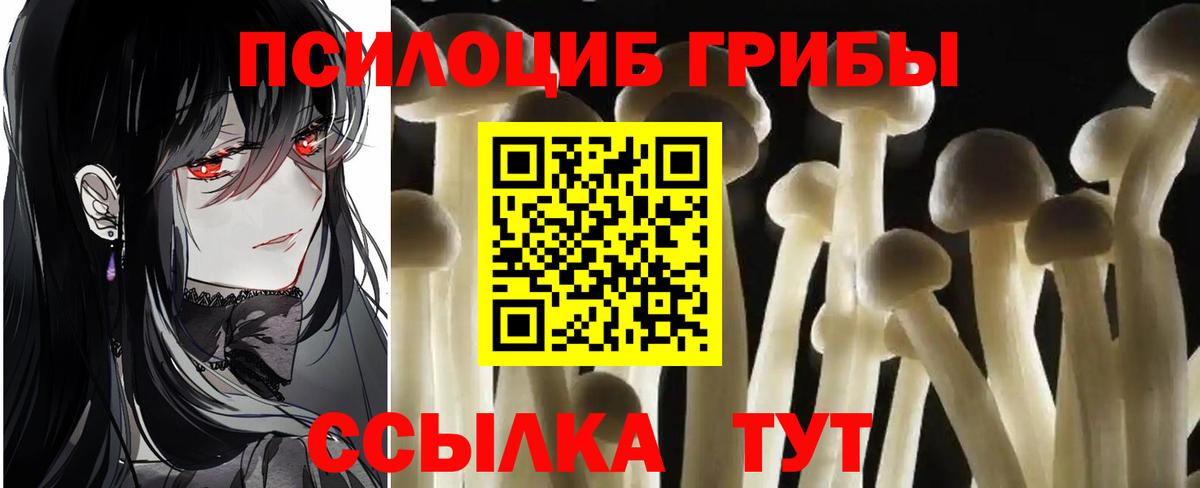 Псилоцибиновые грибы прущие грибы  Галлюциногенные грибы прущие грибы  Вход с VPN  Острогожск 
